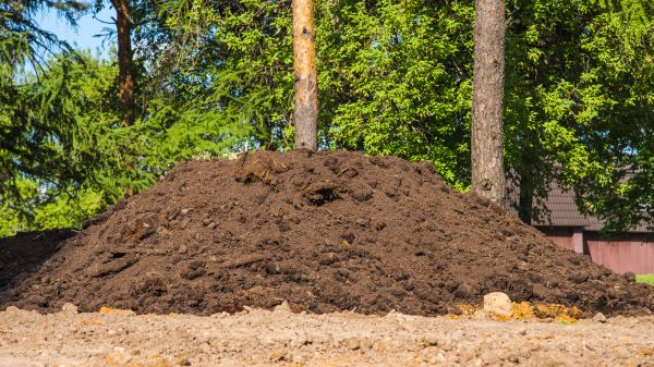 Cost of Dirt Installation in Thousand Oaks