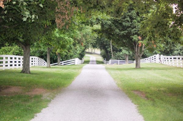 Cost of Gravel Driveway Construction in Thousand Oaks