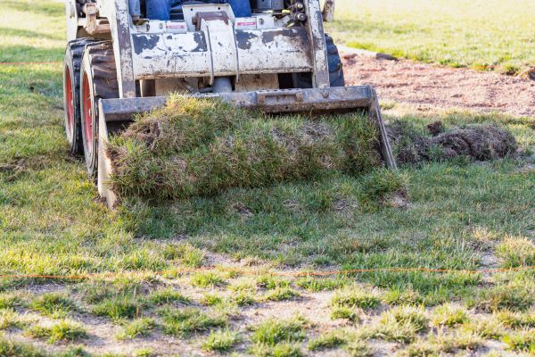 Cost of Landscape Leveling in Thousand Oaks
