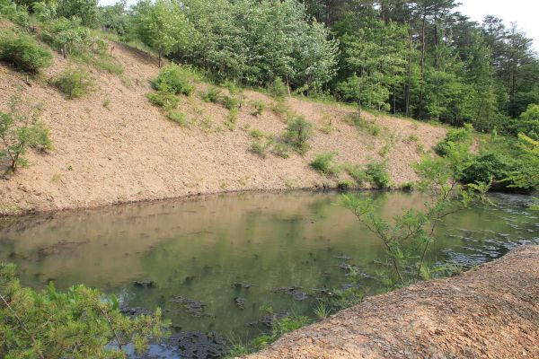 Cost of Pond Erosion Repair in Thousand Oaks