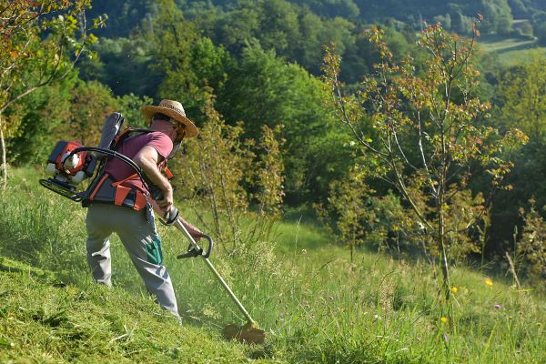Cost of Slope Trimming in Thousand Oaks